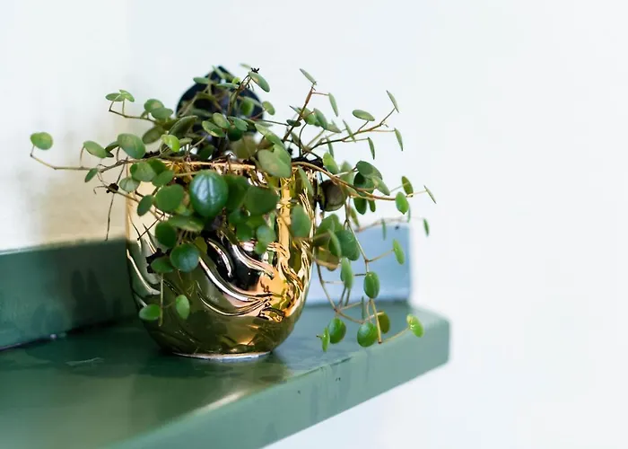 公寓 Luxe En Ruim Voor 4 Personen.