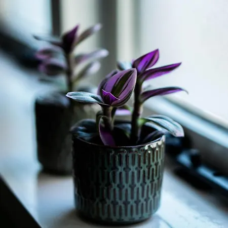 Luxe En Ruim Voor 4 Personen. * Nieuw-Lekkerland