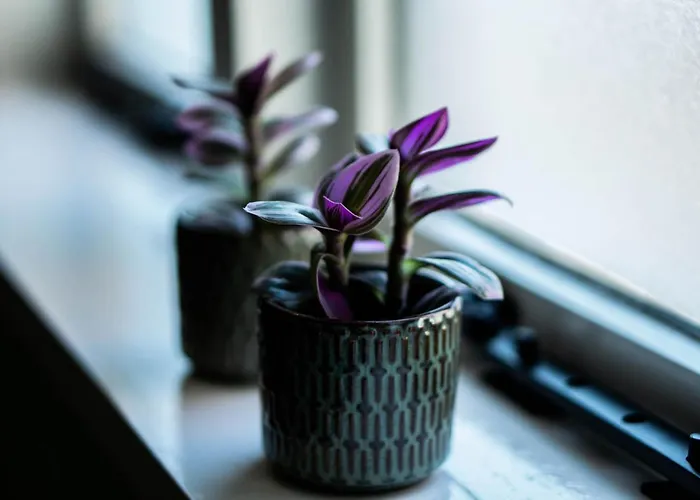 Luxe En Ruim Voor 4 Personen. * Nieuw-Lekkerland